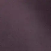 24127438 - PRUGNA